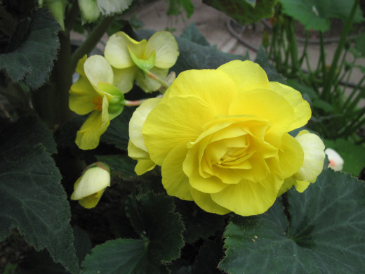 995896 (a): :2560x1920